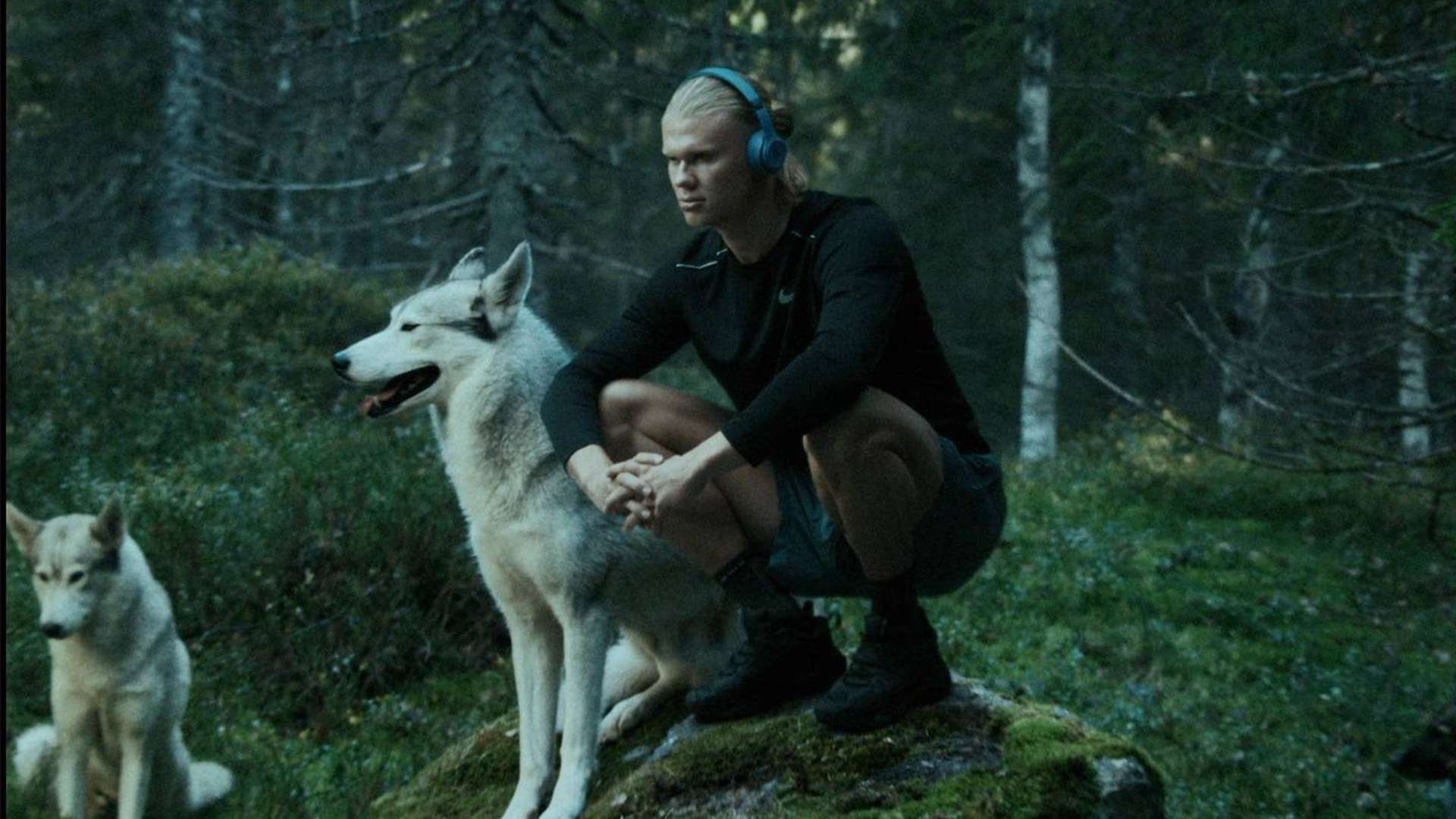 以其灵活的 以其灵活的