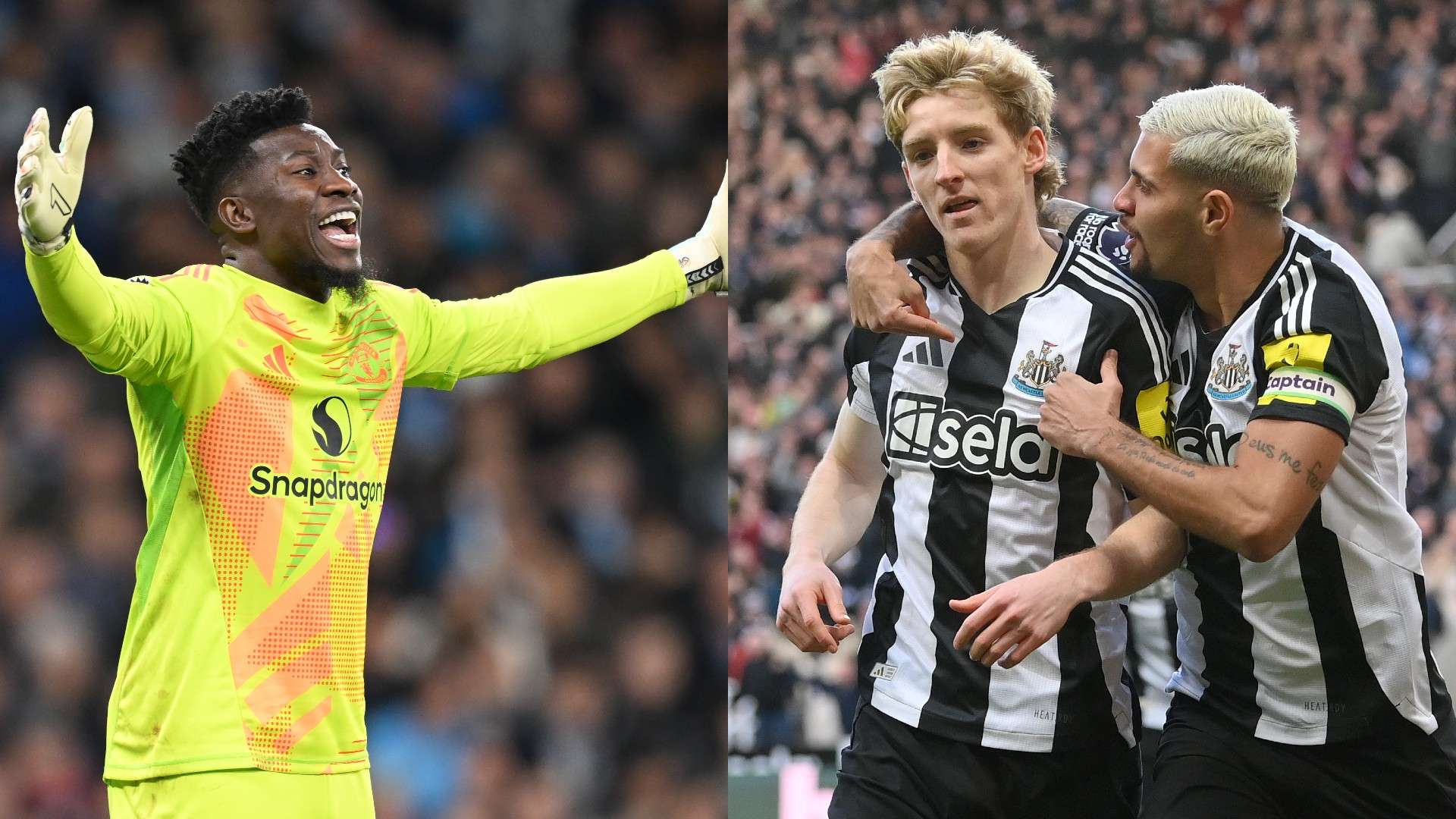 灰熊的成功 灰熊的成功