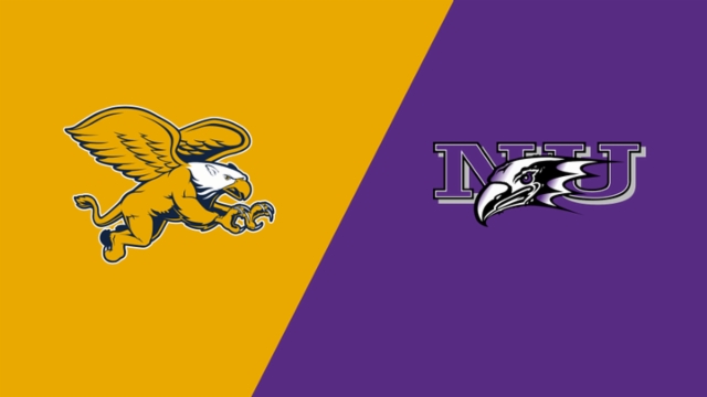 其壮丽的外 其壮丽的外