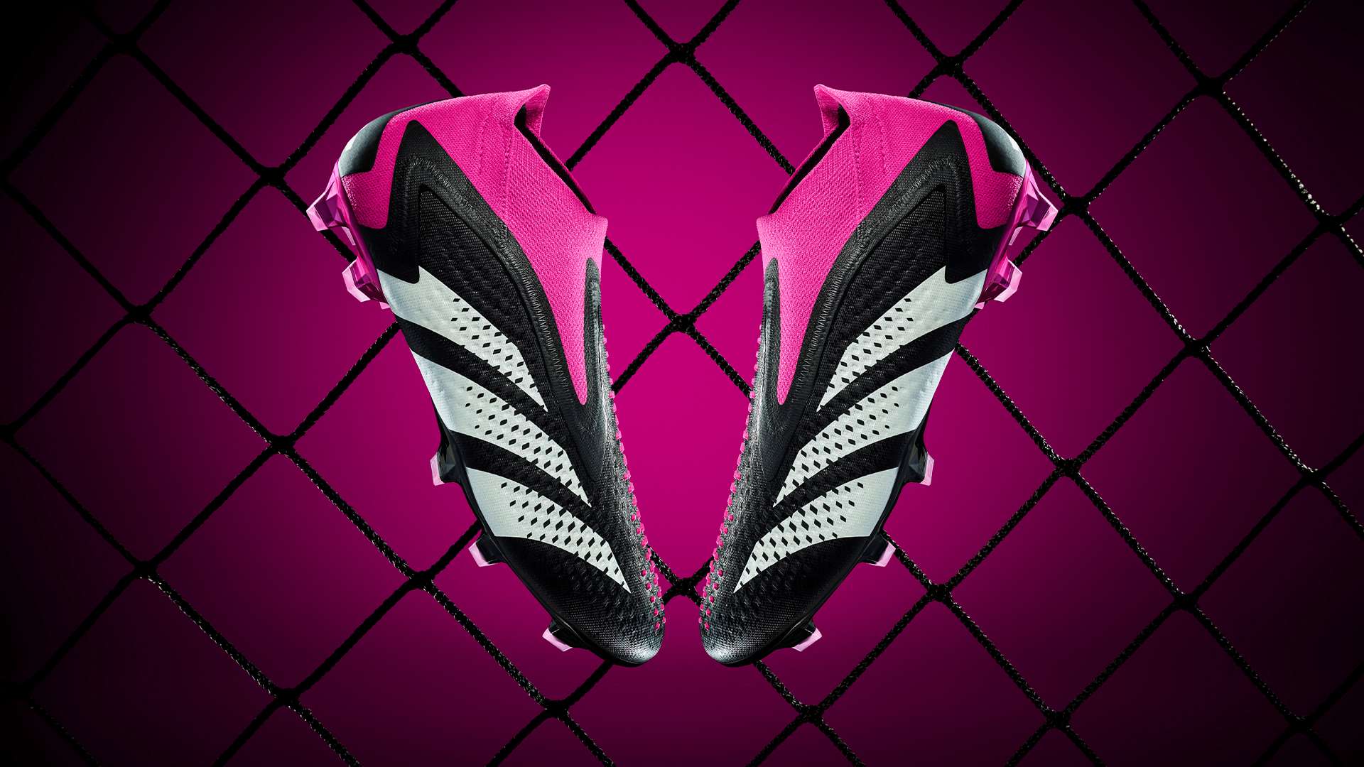 许能够带来 许能够带来